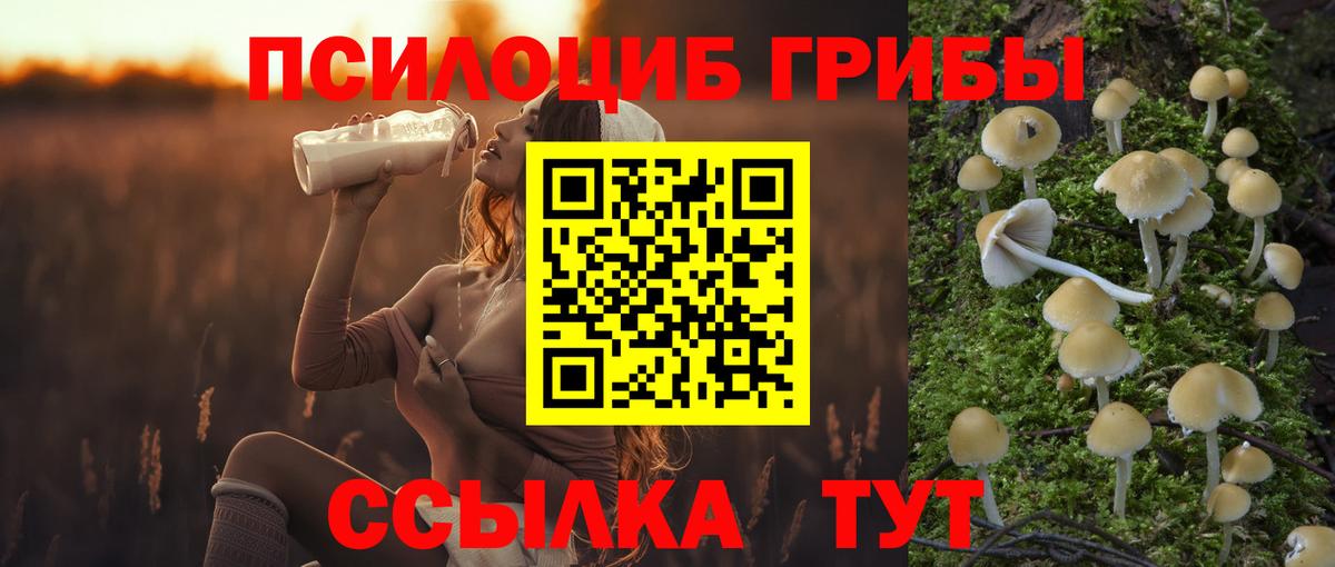 Галлюциногенные грибы MAGIC MUSHROOMS  Псилоцибиновые грибы GOLDEN TEACHER  Вход с VPN  Чехов 